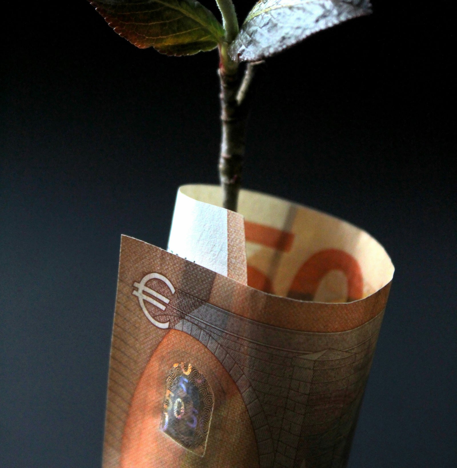 Subventionsbeiträge für Elektroroller in der Schweiz