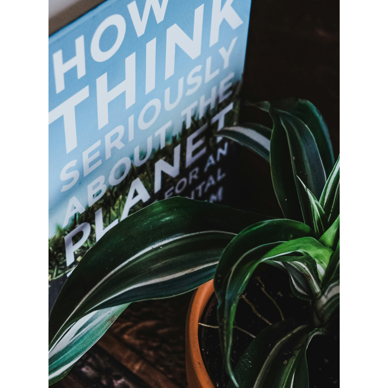 Elektroscooter in der Schweiz: Umweltfreundliche Mobilität im Einklang mit dem Gesetz